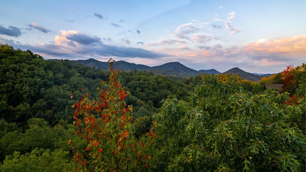 36 Harvest Moon Road Sevierville, TN 37862 - Photo 14 of 48 Gallery Image 14