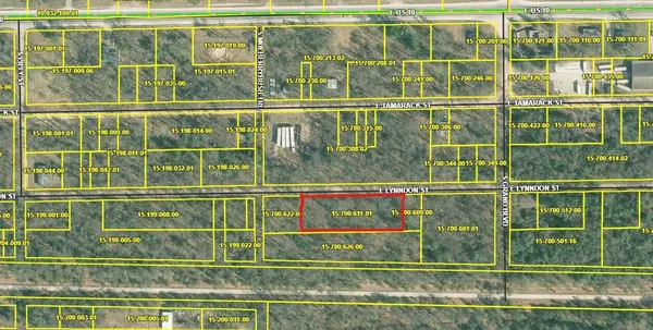 $10,000 | V/l East Lynndon Street, Idlewild, MI 49642