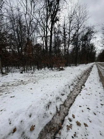 $10,000 | V/l East Lynndon Street, Idlewild, MI 49642
