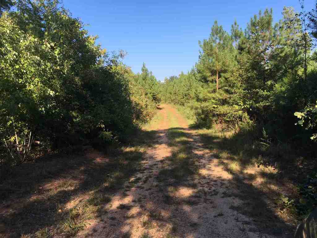 115-acres Tiny Tiller Road Iva, SC 29655 - Photo 5 of 7