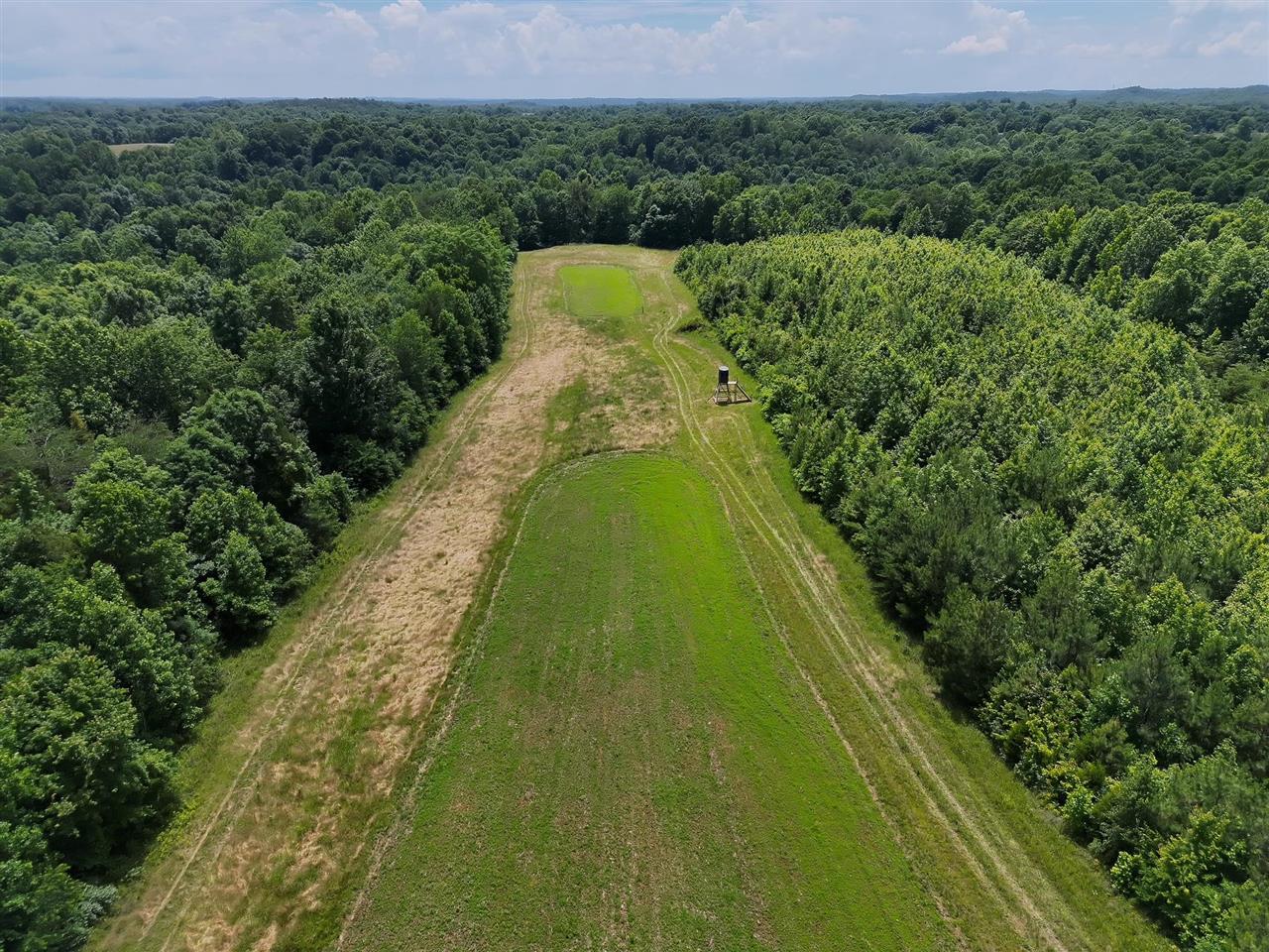 2335 Dogwalk Road Horse Branch, KY 42349 - Photo 21 of 39 Gallery Image 21