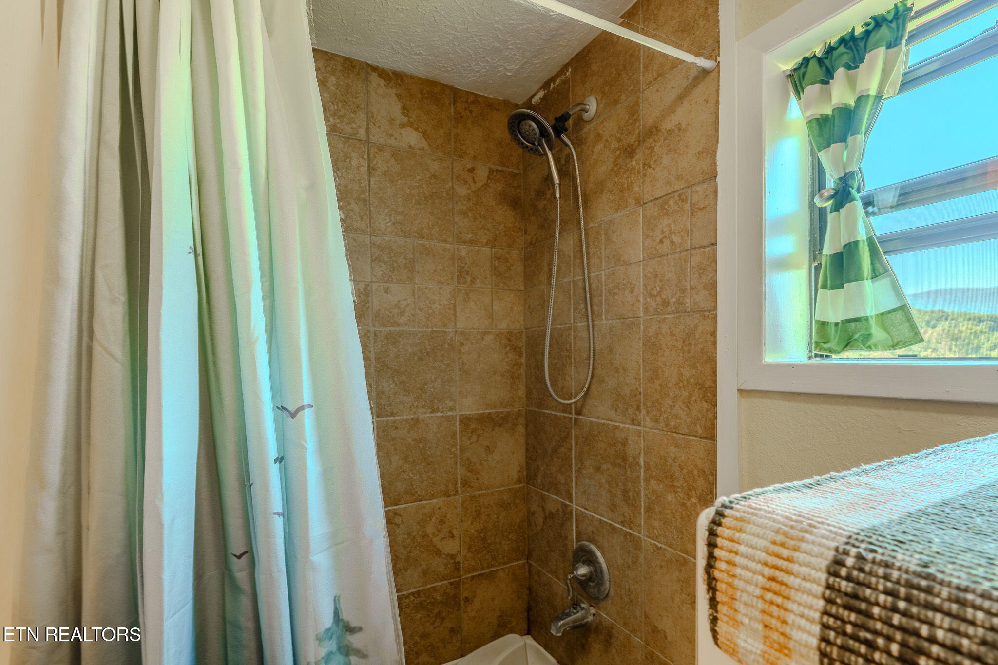 891 Tolley Hollow Road Newport, TN 37821 - Photo 26 of 40 4-web-or-mls-_DSC1393-HDR