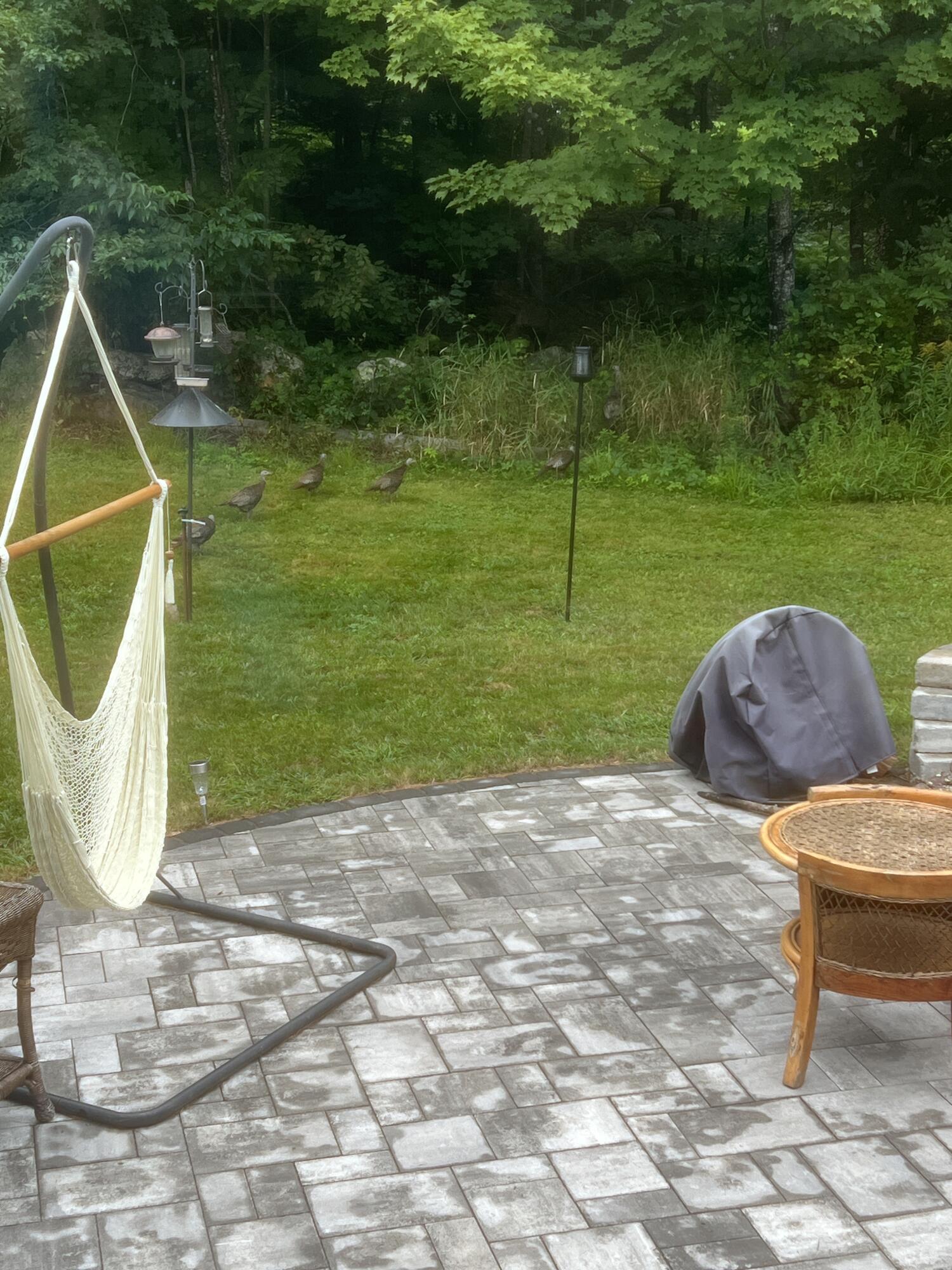 19 Riggs Road Casco, ME 04015 - Photo 13 of 50 Patio