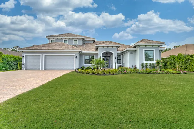a view of a park with large trees