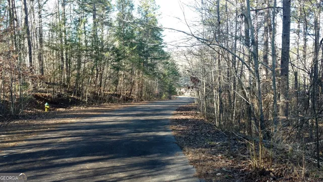 a view of backyard with green space