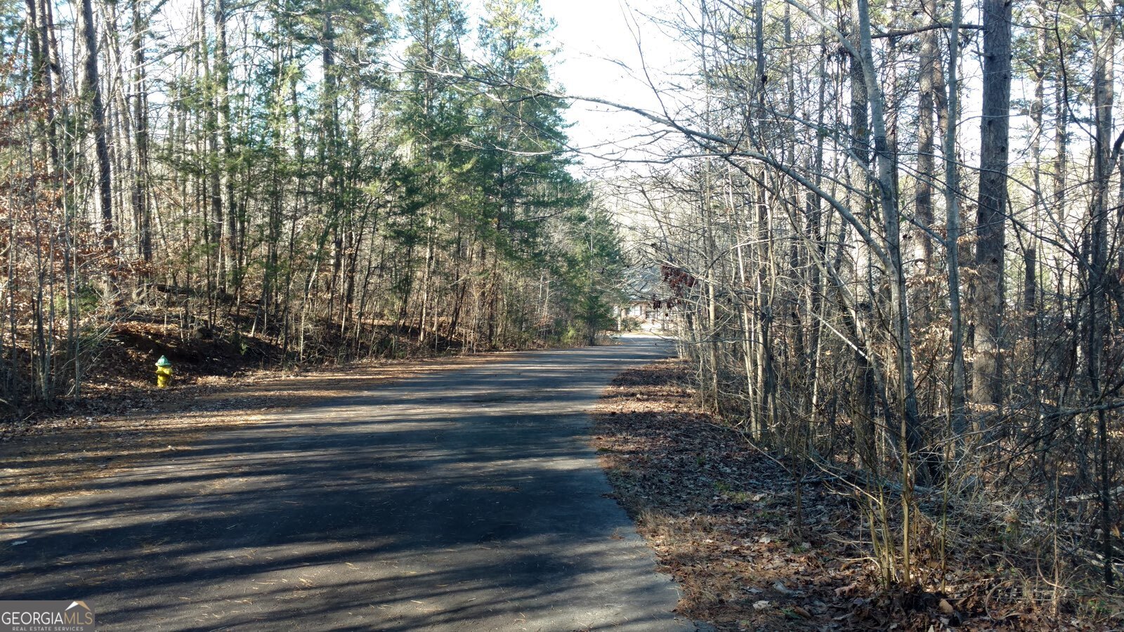 Springview Dr Springview Drive Westminster, SC 29693 - Photo 3 of 8
