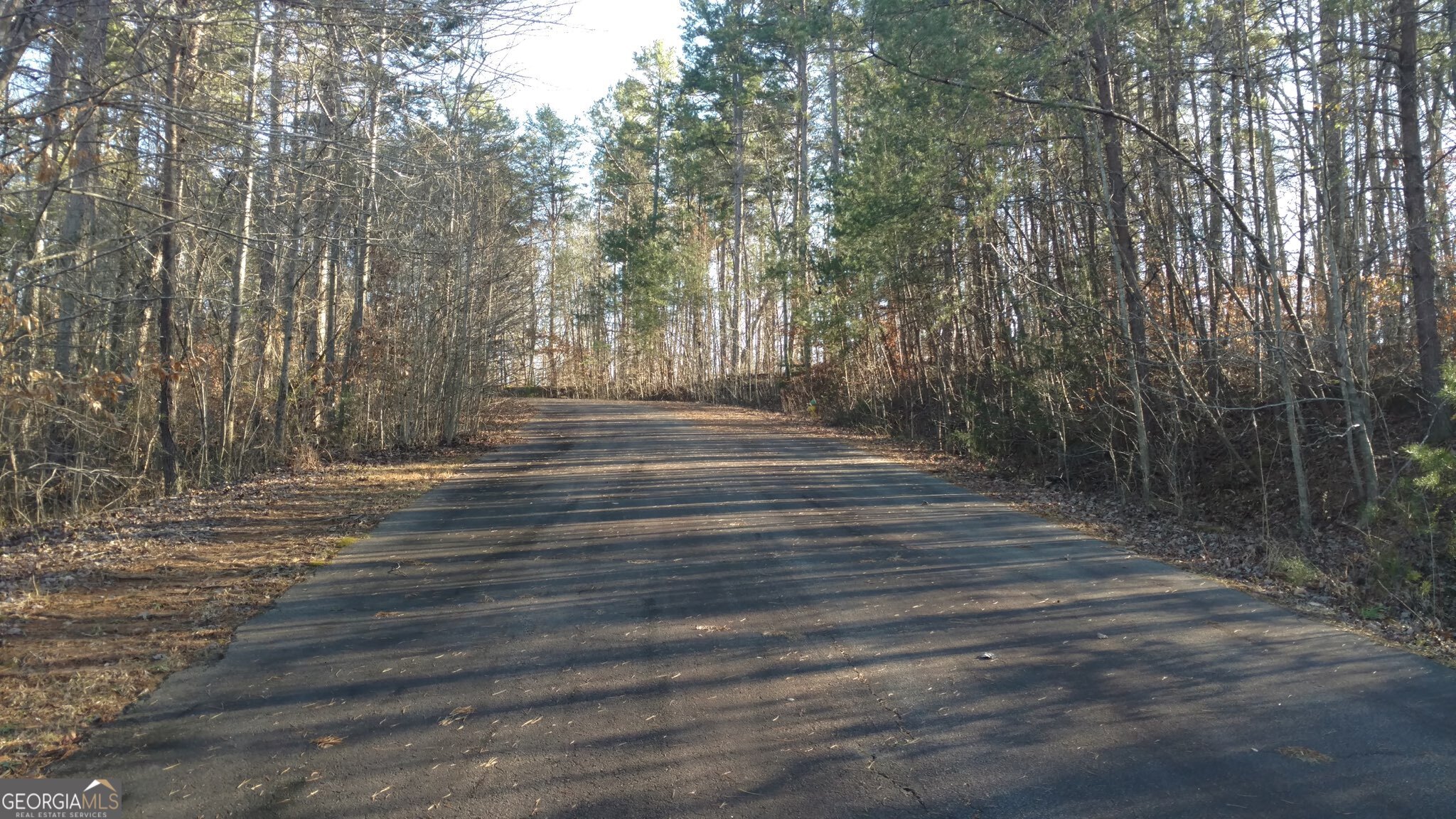Springview Dr Springview Drive Westminster, SC 29693 - Photo 6 of 8