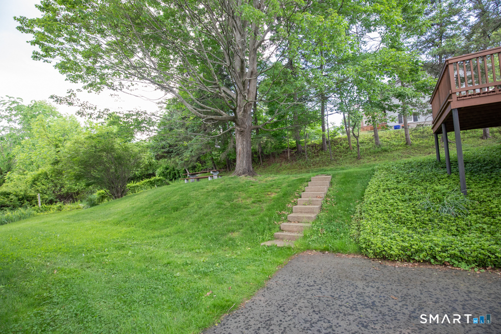 64 Somer Drive Meriden, CT 06451 - Photo 6 of 28 a view of a park with large trees