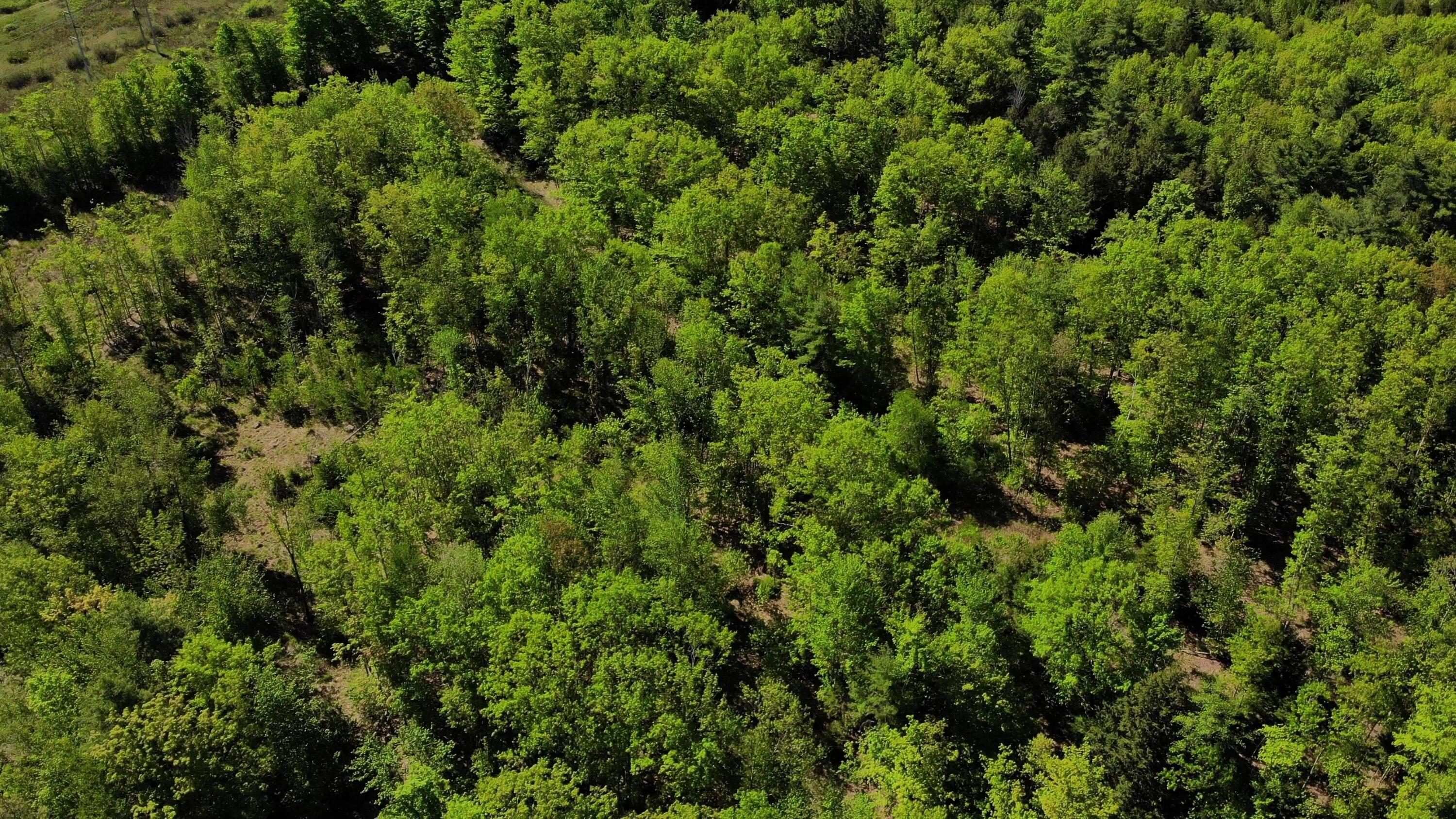 250 Drews Mills Road Biddeford, ME 04005 - Photo 16 of 28 DJI_0136 - frame at 0m5s
