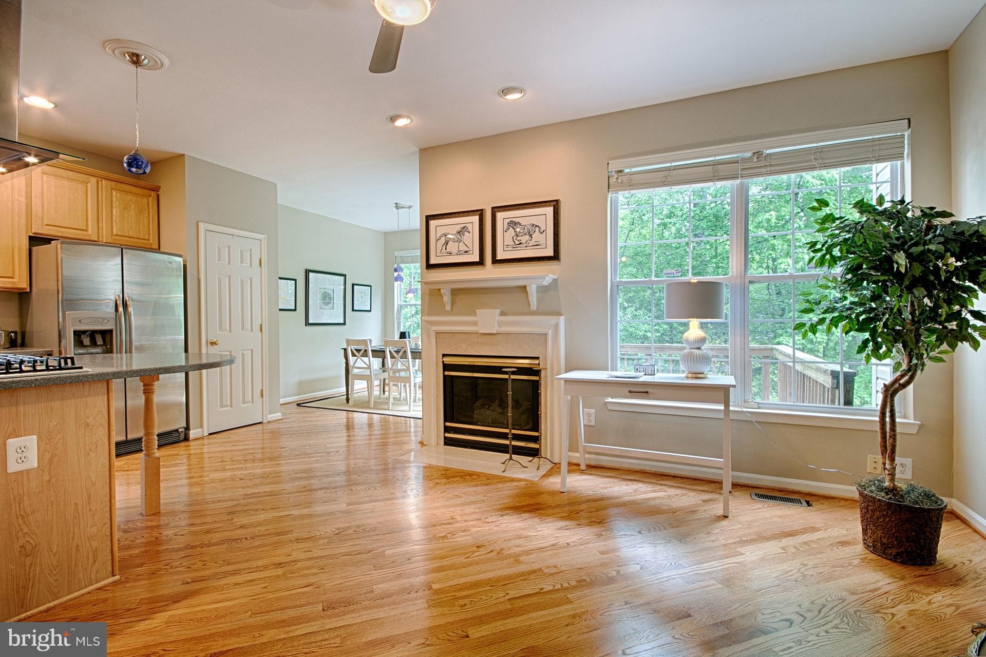 1217 Wild Hawthorn Way Reston, VA 20194 - Photo 12 of 30 Family Room with fireplace