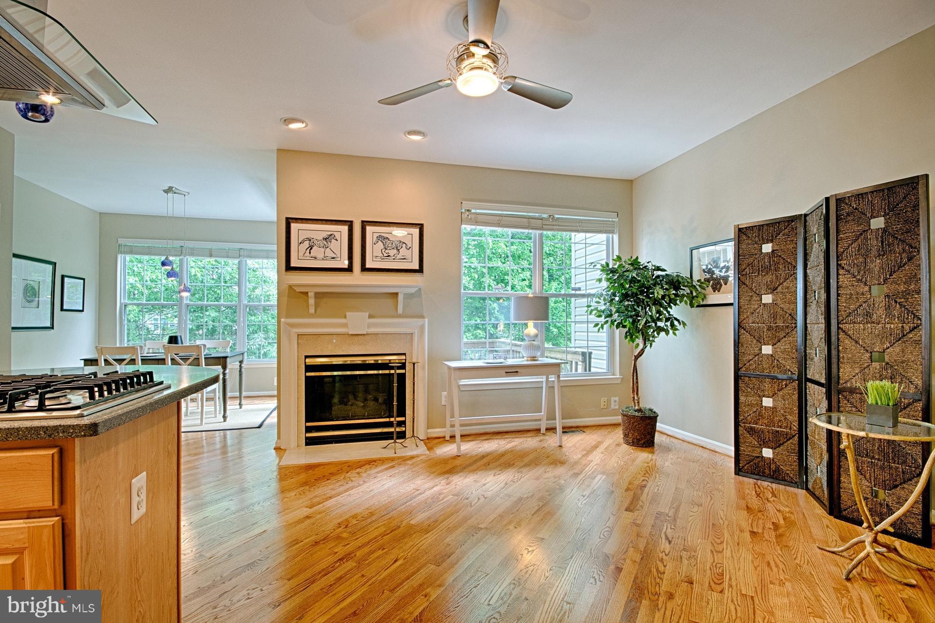 1217 Wild Hawthorn Way Reston, VA 20194 - Photo 13 of 30 Family Room located next to the kitchen