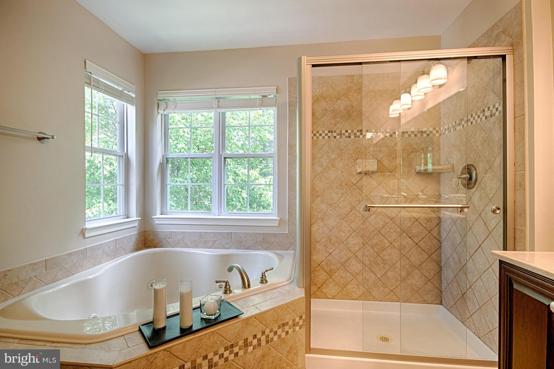 1217 Wild Hawthorn Way Reston, VA 20194 - Photo 18 of 30 Separate Shower and Soaking Tub