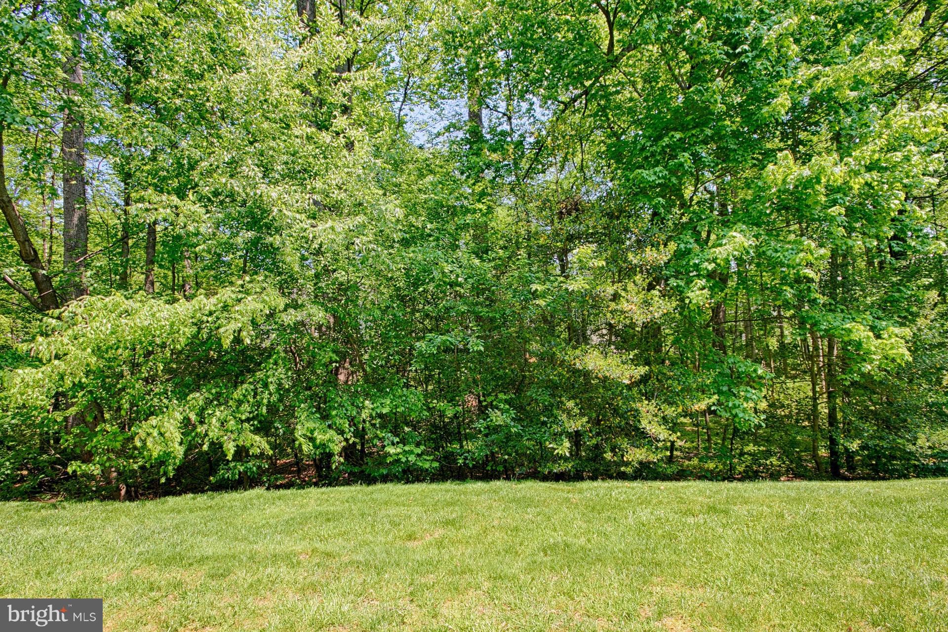 1217 Wild Hawthorn Way Reston, VA 20194 - Photo 25 of 30 View