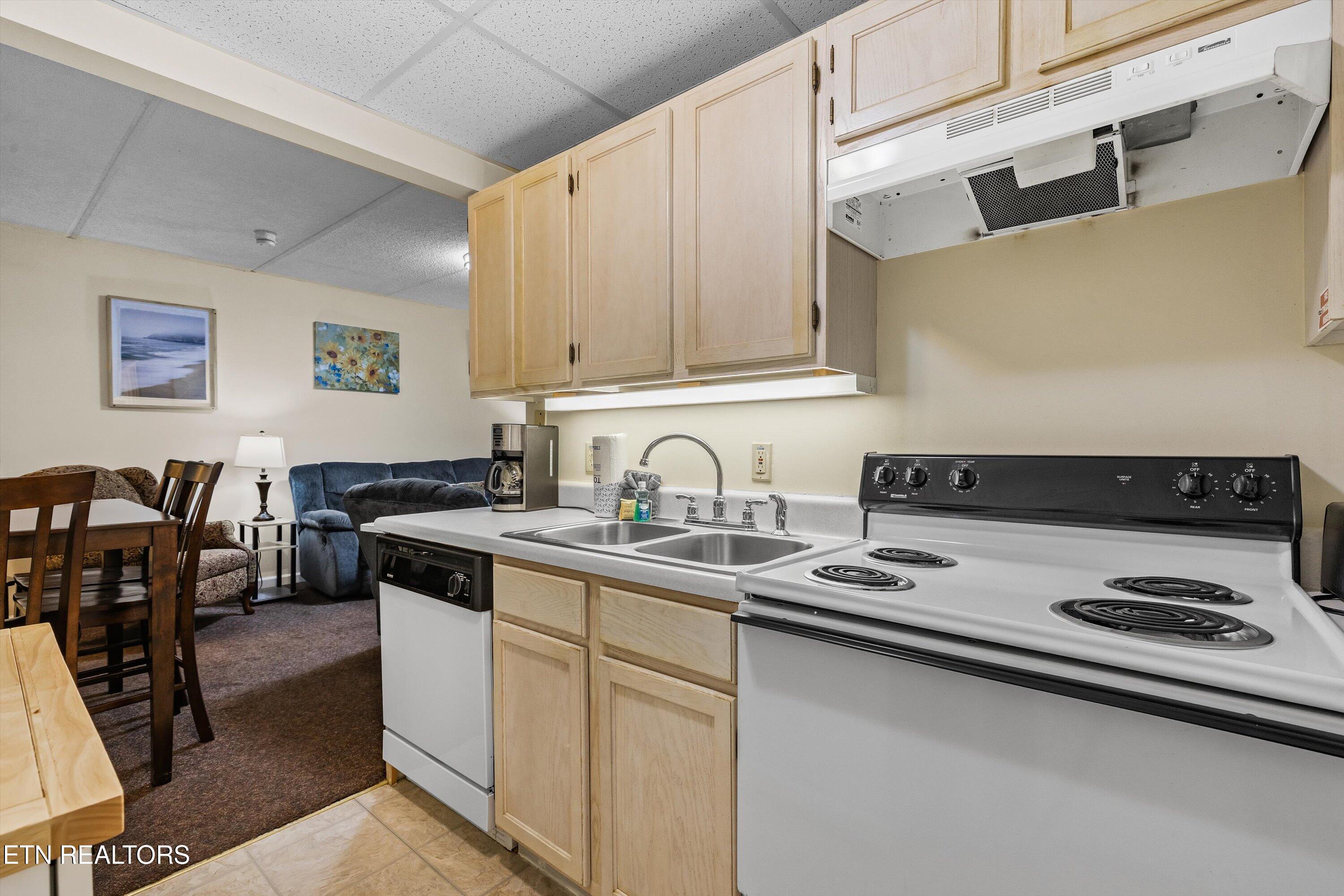 413 Baskins Creek Road, Unit 308 Gatlinburg, TN 37738 - Photo 15 of 37 20-413 Baskins Creed Rd23