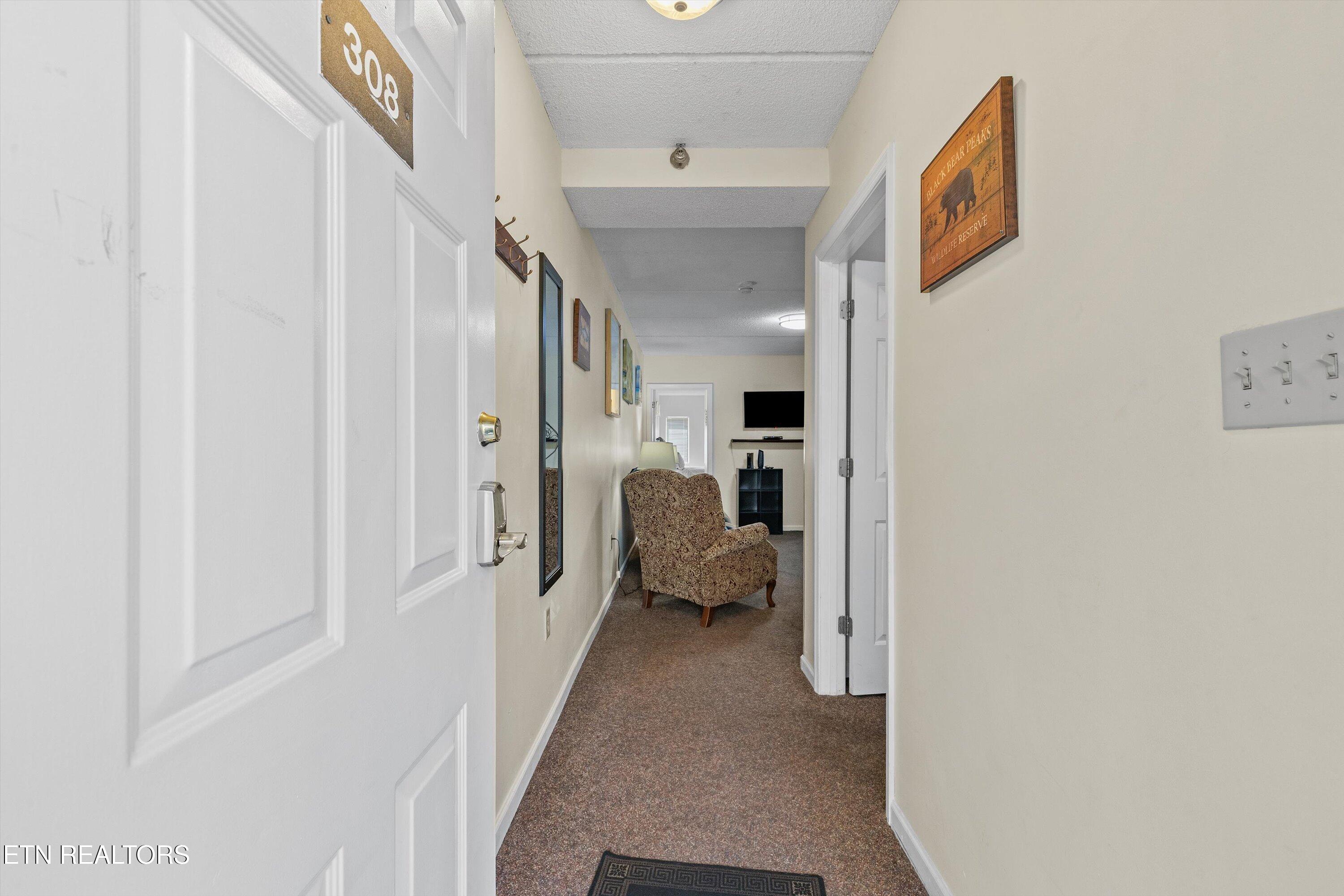 413 Baskins Creek Road, Unit 308 Gatlinburg, TN 37738 - Photo 3 of 37 02-413 Baskins Creed Rd05