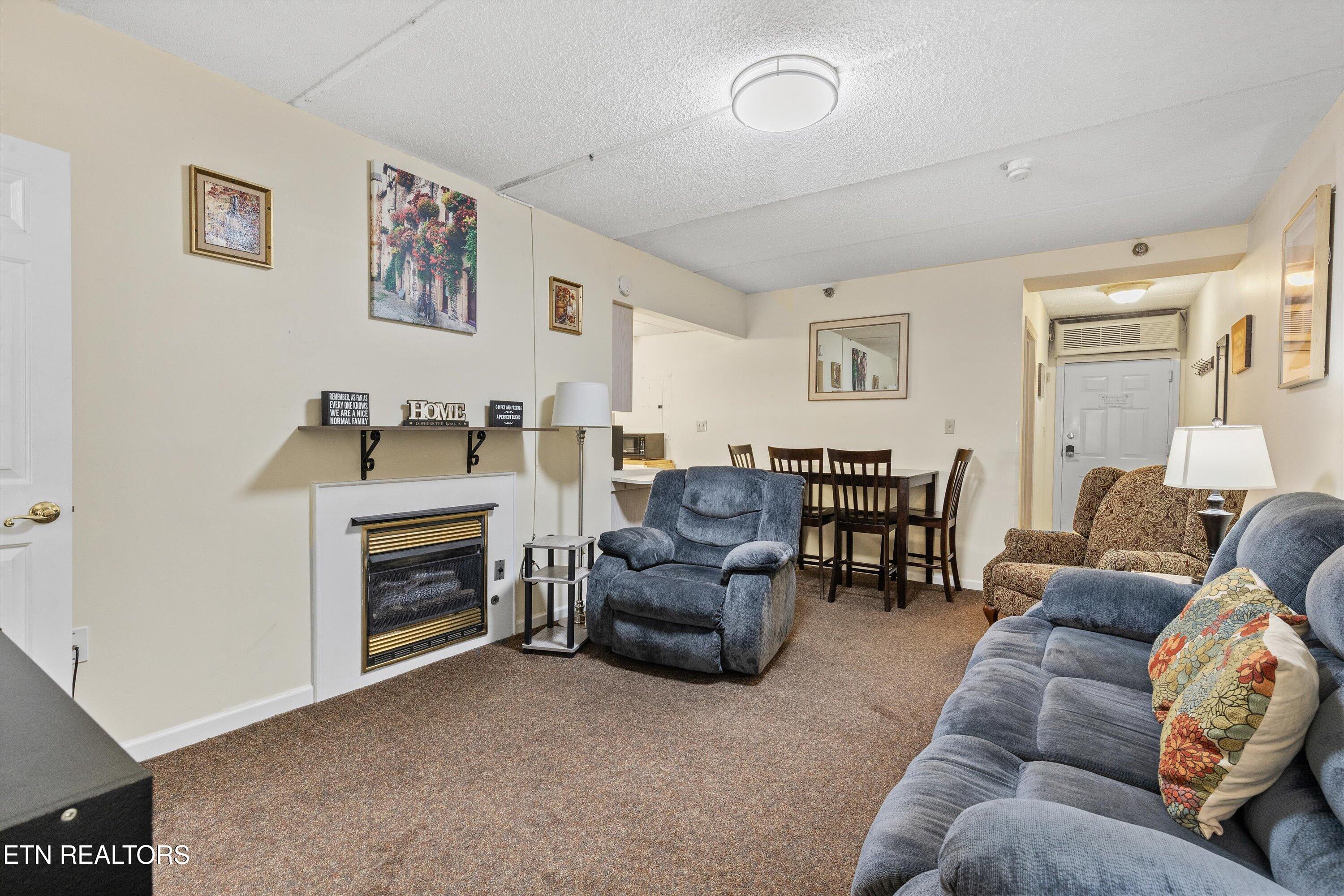 413 Baskins Creek Road, Unit 308 Gatlinburg, TN 37738 - Photo 4 of 37 08-413 Baskins Creed Rd11