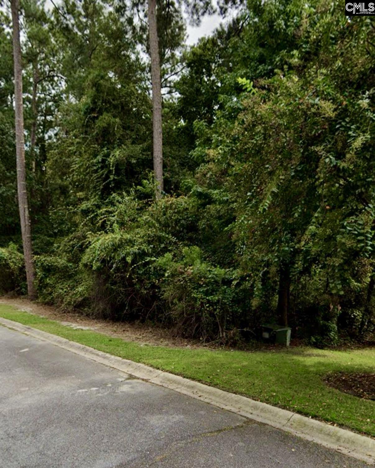 204 Deer Crossing Road Elgin, SC 29045 - Photo 2 of 3