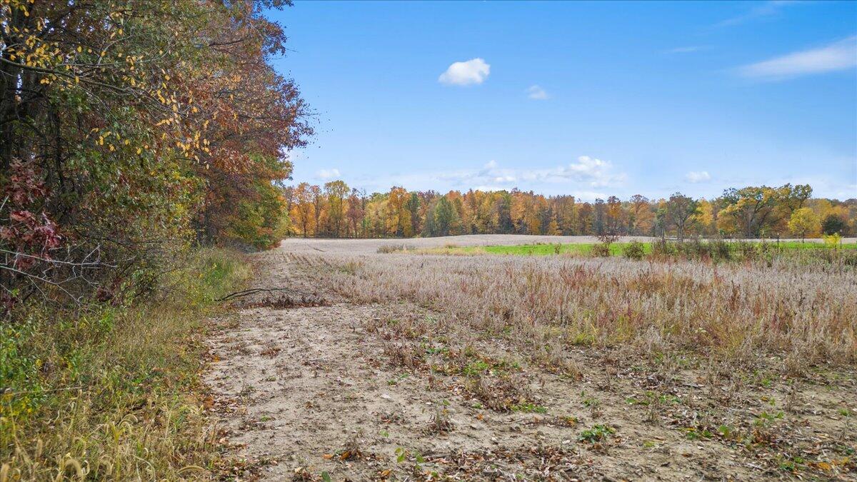 10 10 Mile Road Ceresco, MI 49033 - Photo 19 of 24 19-Media Jett - 18