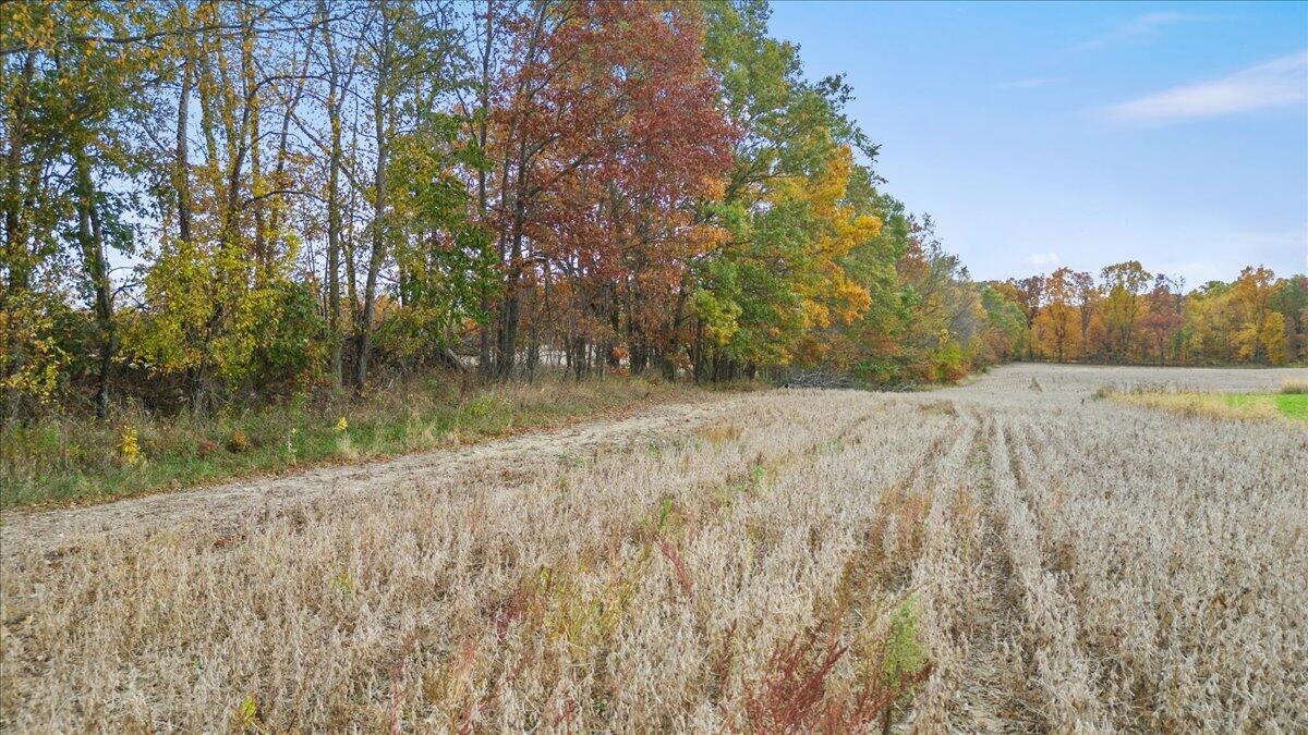 10 10 Mile Road Ceresco, MI 49033 - Photo 20 of 24 20-Media Jett - 19