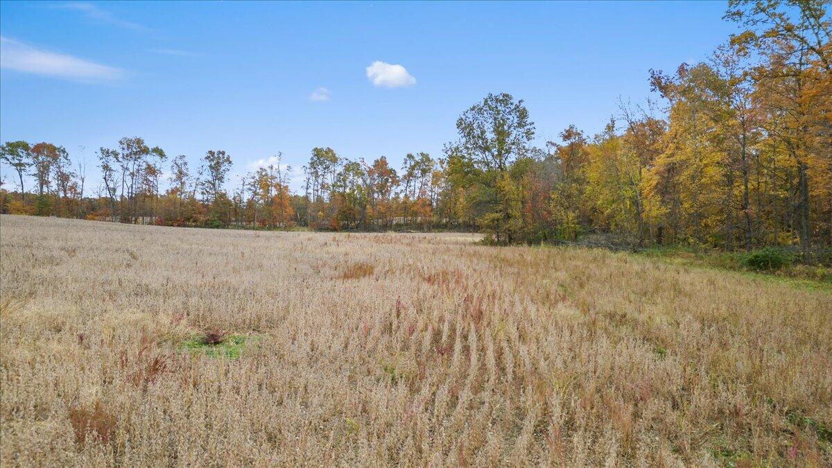 10 10 Mile Road Ceresco, MI 49033 - Photo 21 of 24 21-Media Jett - 20