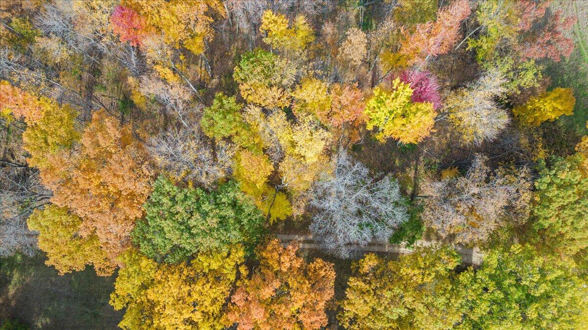 10 10 Mile Road Ceresco, MI 49033 - Photo 10 of 24 10-Media Jett - 09