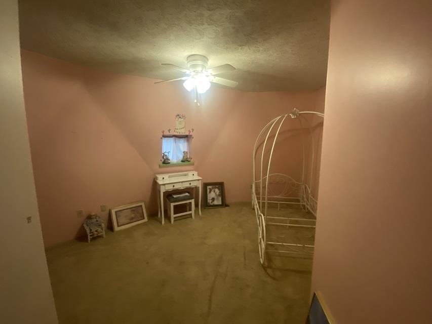 304 Wampler Br Road Greenup, KY 41144 - Photo 6 of 9