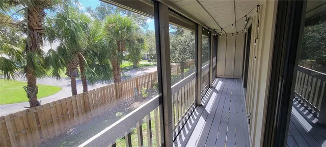 a view of a backyard with palm trees