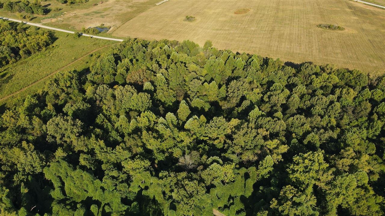 0 Carter Ferry Road Centertown, KY 42328 - Photo 1 of 23 Gallery Image 1