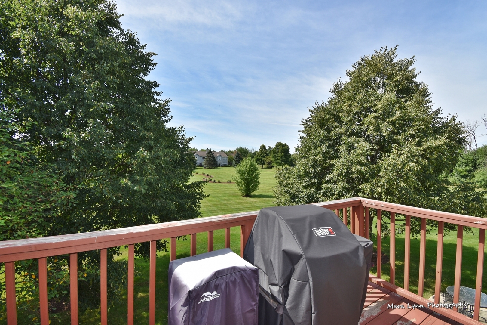 2132 Peach Tree Lane Algonquin, IL 60102 - Photo 27 of 33