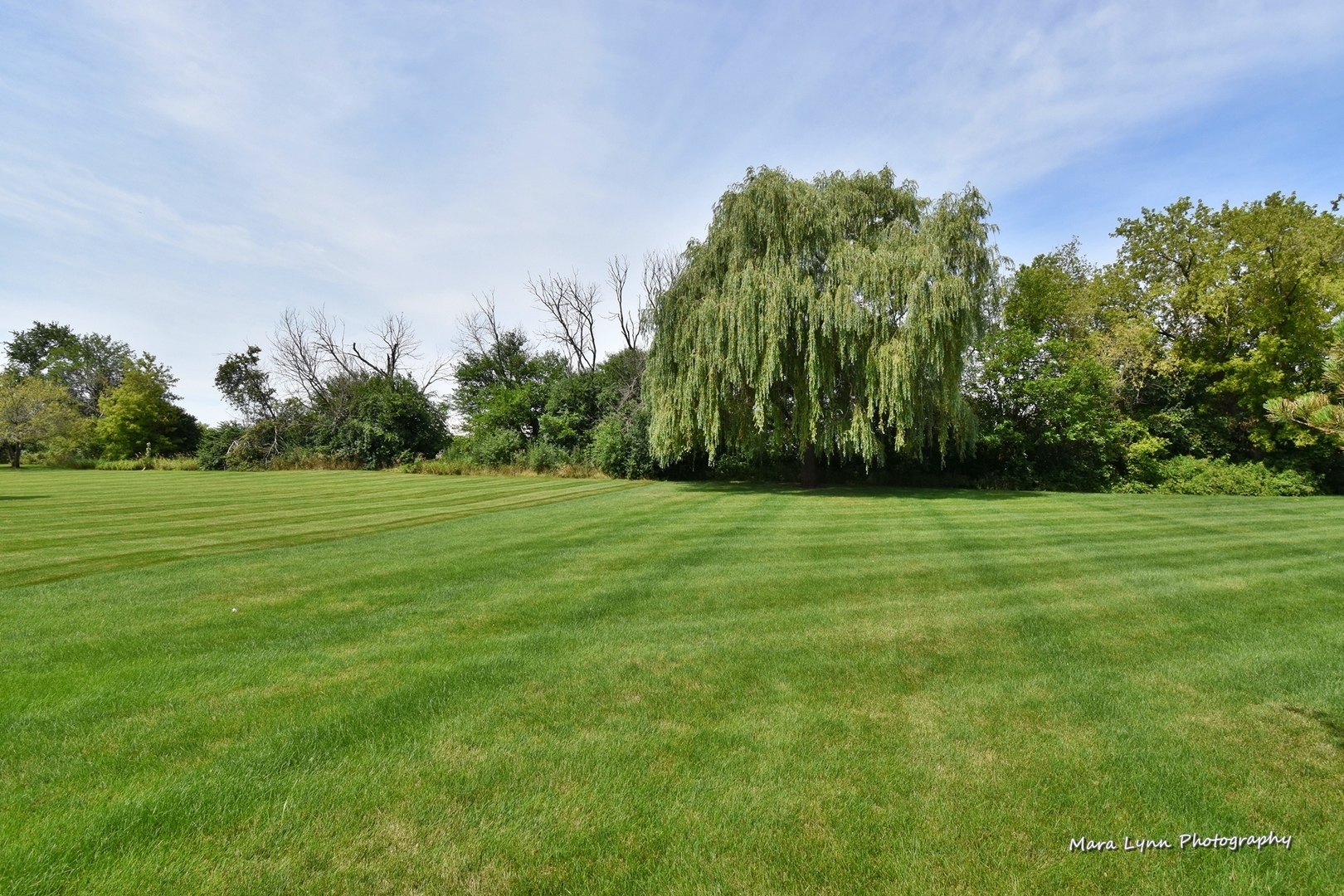 2132 Peach Tree Lane Algonquin, IL 60102 - Photo 29 of 33