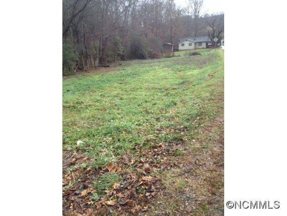 658 North Morgan Branch Road Candler, NC 28715 - Photo 3 of 12 Gallery Image 3