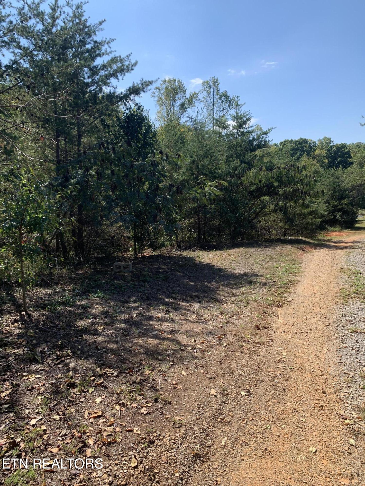 6060 Lanier Road Maryville, TN 37801 - Photo 4 of 6 IMG_7680