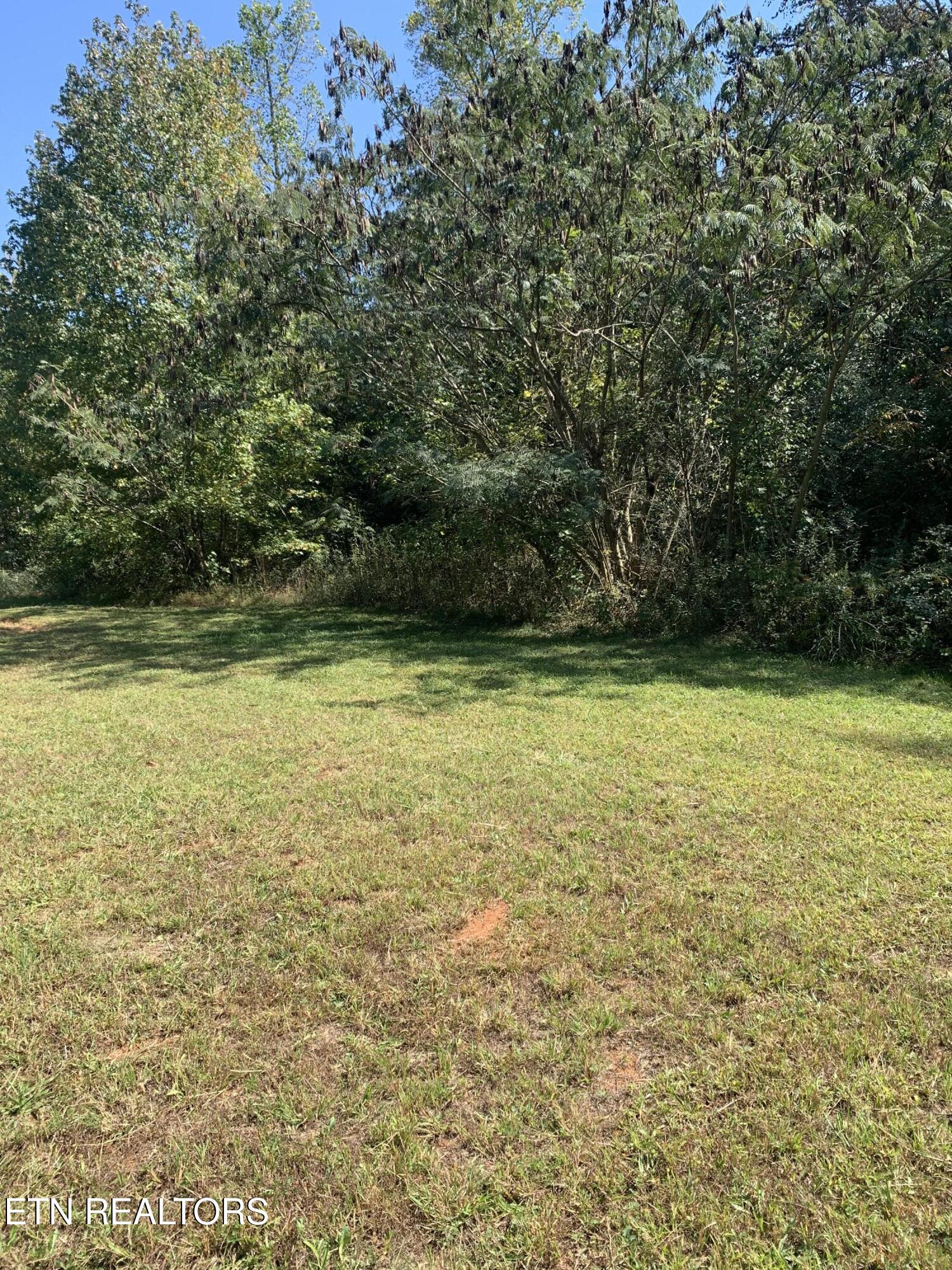 6060 Lanier Road Maryville, TN 37801 - Photo 5 of 6 IMG_7675