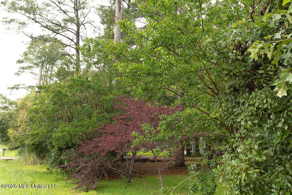 6450 Manship Road Brandon, MS 39047 - Photo 12 of 14 BH26_Manship_01--13