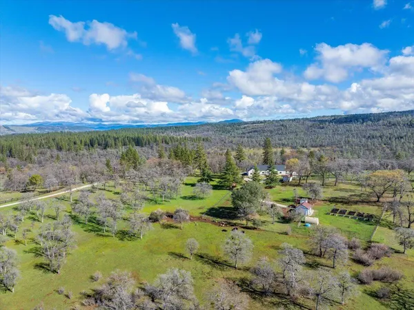 $3,800,000 | 29099 Doveweed Way, Shingletown, CA 96088