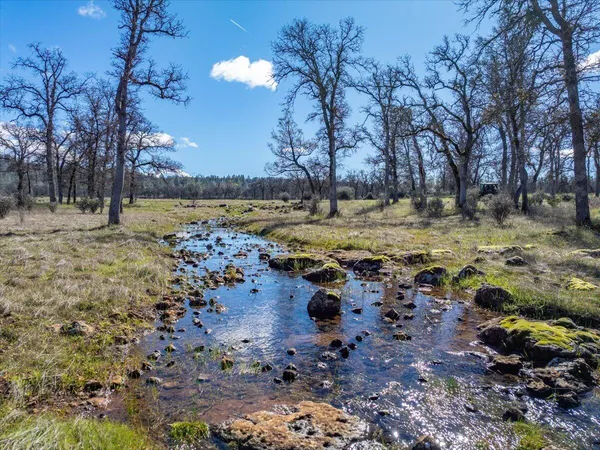 $3,800,000 | 29099 Doveweed Way, Shingletown, CA 96088