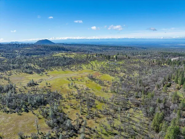 $3,800,000 | 29099 Doveweed Way, Shingletown, CA 96088