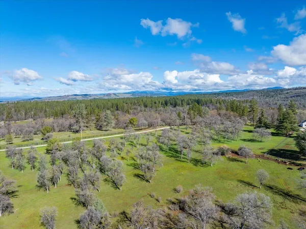 $3,800,000 | 29099 Doveweed Way, Shingletown, CA 96088