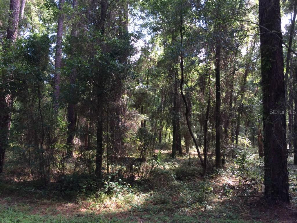 1 Taylor Woods Road DeLand, FL 32724 - Photo 1 of 1