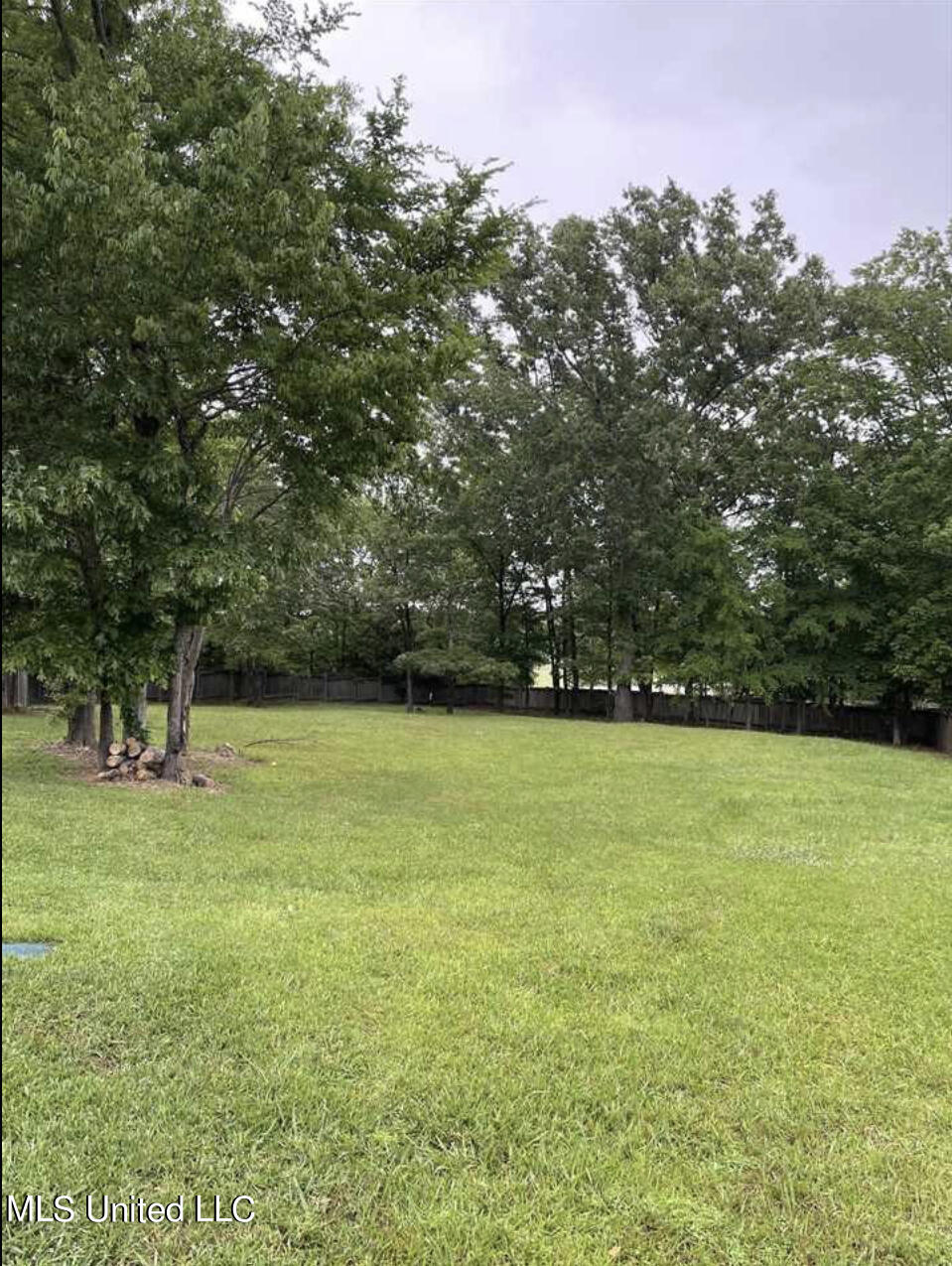 Azalea Cove Madison, MS 39110 - Photo 1 of 1 Lot