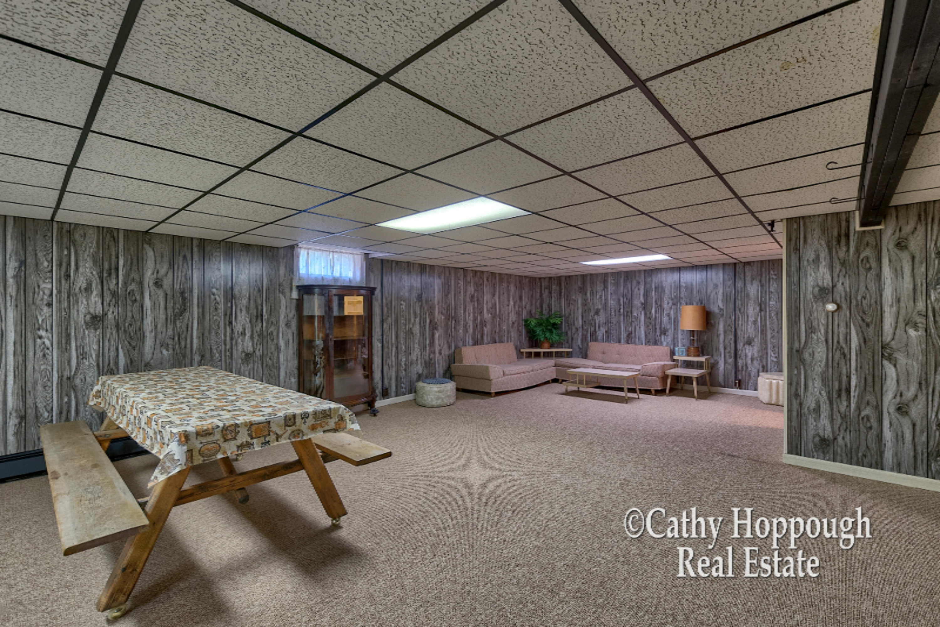 6400 Brown Road Lake Odessa, MI 48849 - Photo 35 of 48 Family Room LL A