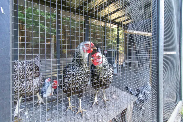 $299,000 | 398 Valley Road, Morgan, VT 05853