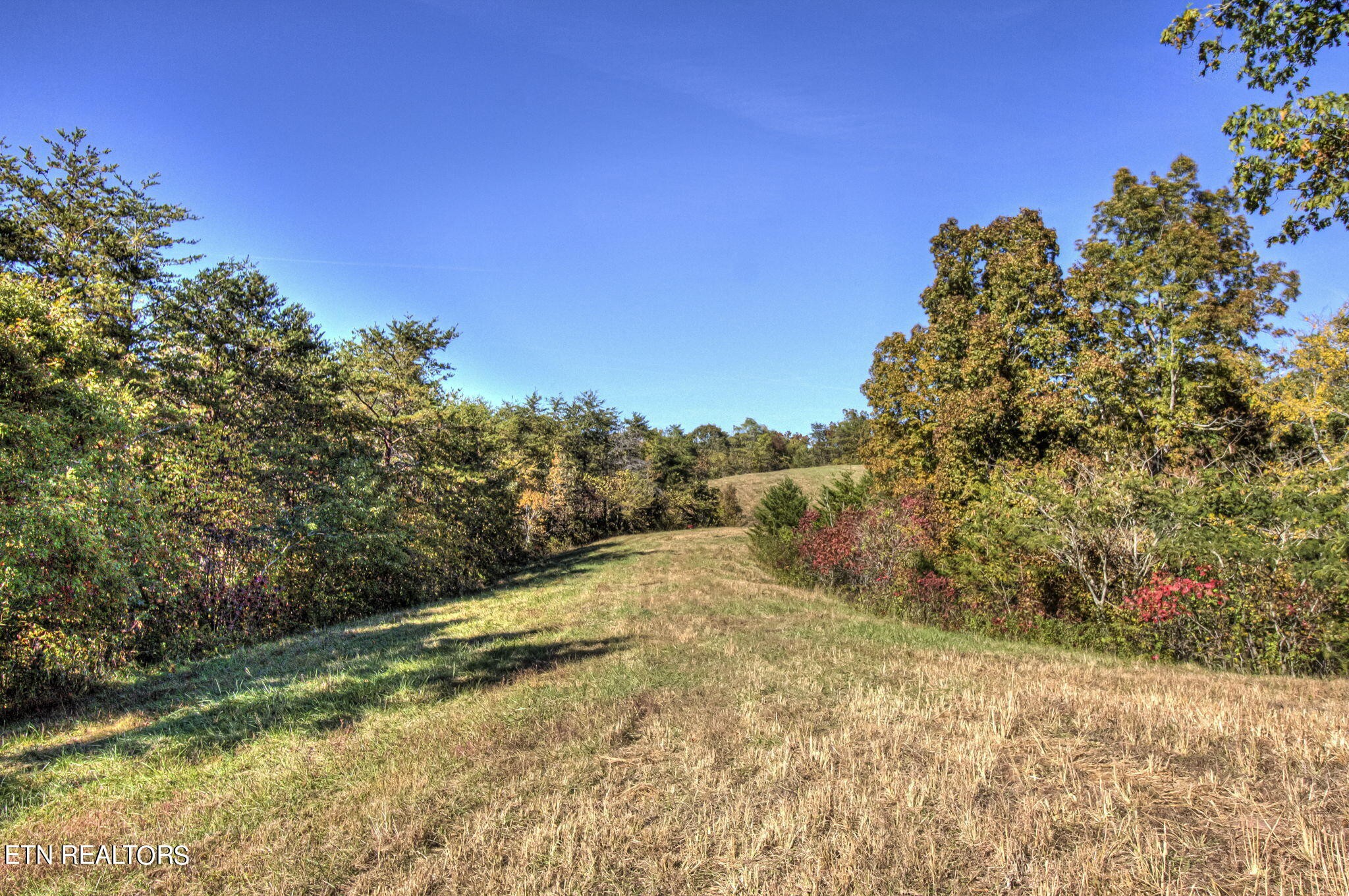 500 Old Citico Road Vonore, TN 37885 - Photo 42 of 53 Gallery Image 42