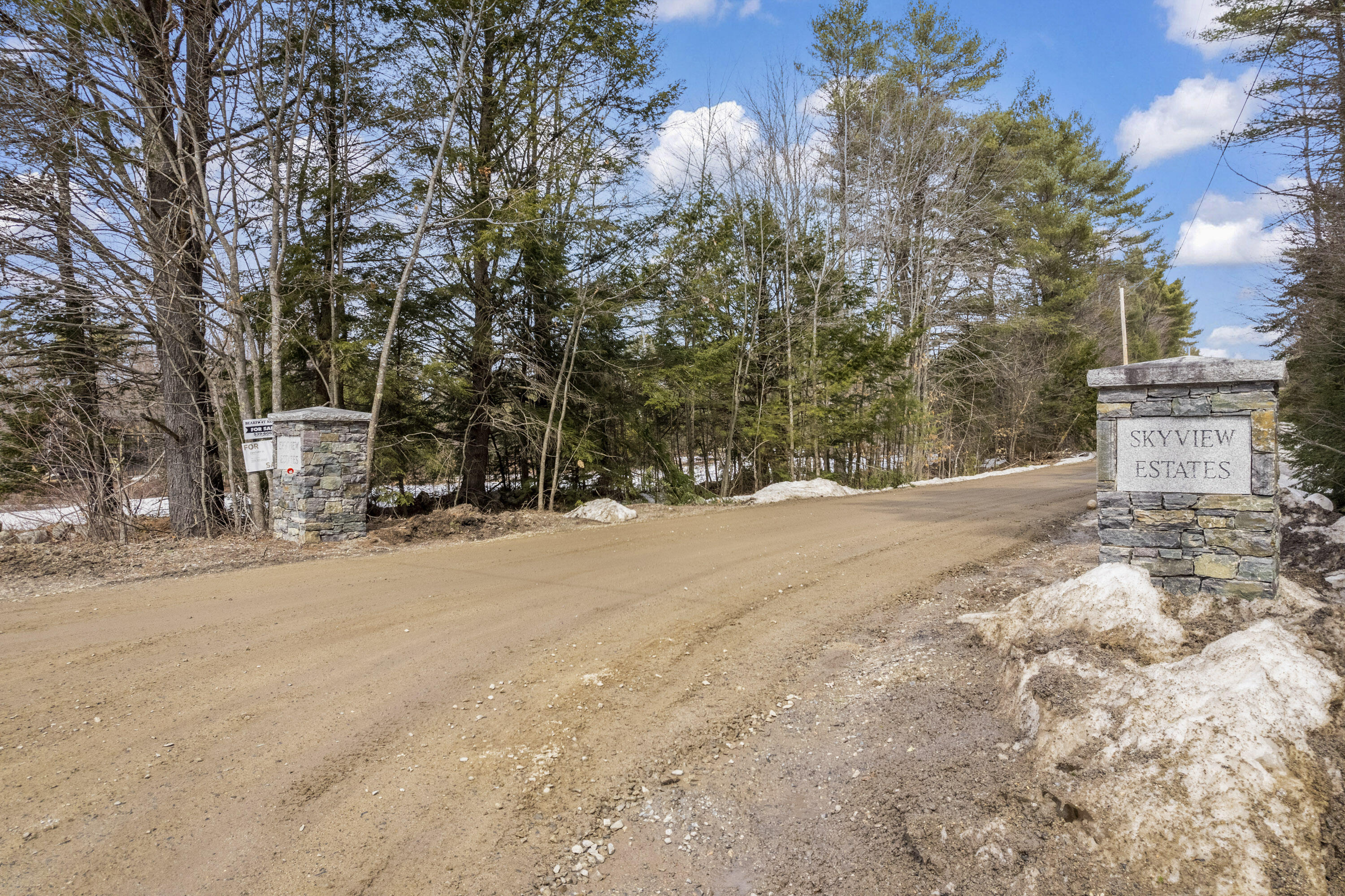Lot 11 Skyview Road Harrison, ME 04040 - Photo 5 of 20 Lot 11 Skyview Rd_101