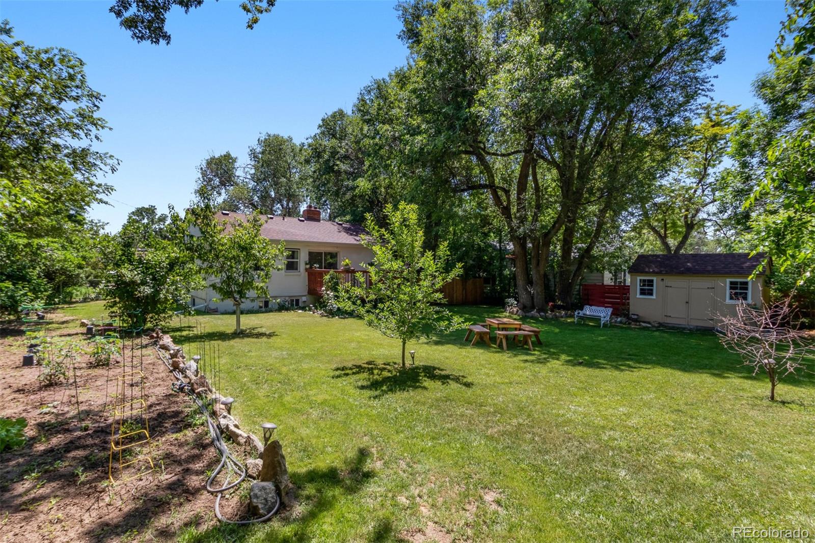 2839 Pierce Street Wheat Ridge, CO 80214 - Photo 11 of 23 Gallery Image 11
