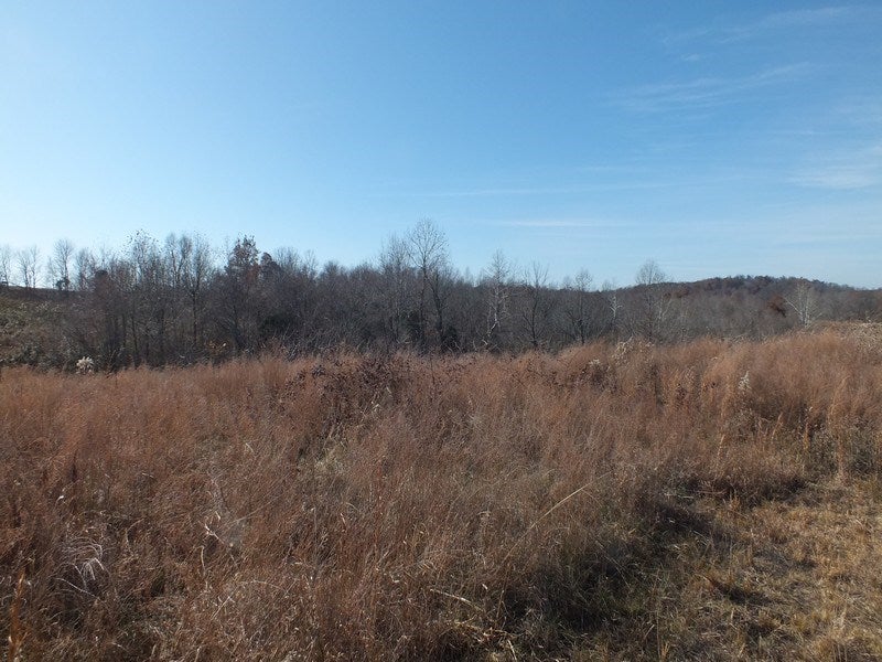 148 Turci Nevins Road Caneyville, KY 42721 - Photo 30 of 32 Gallery Image 30