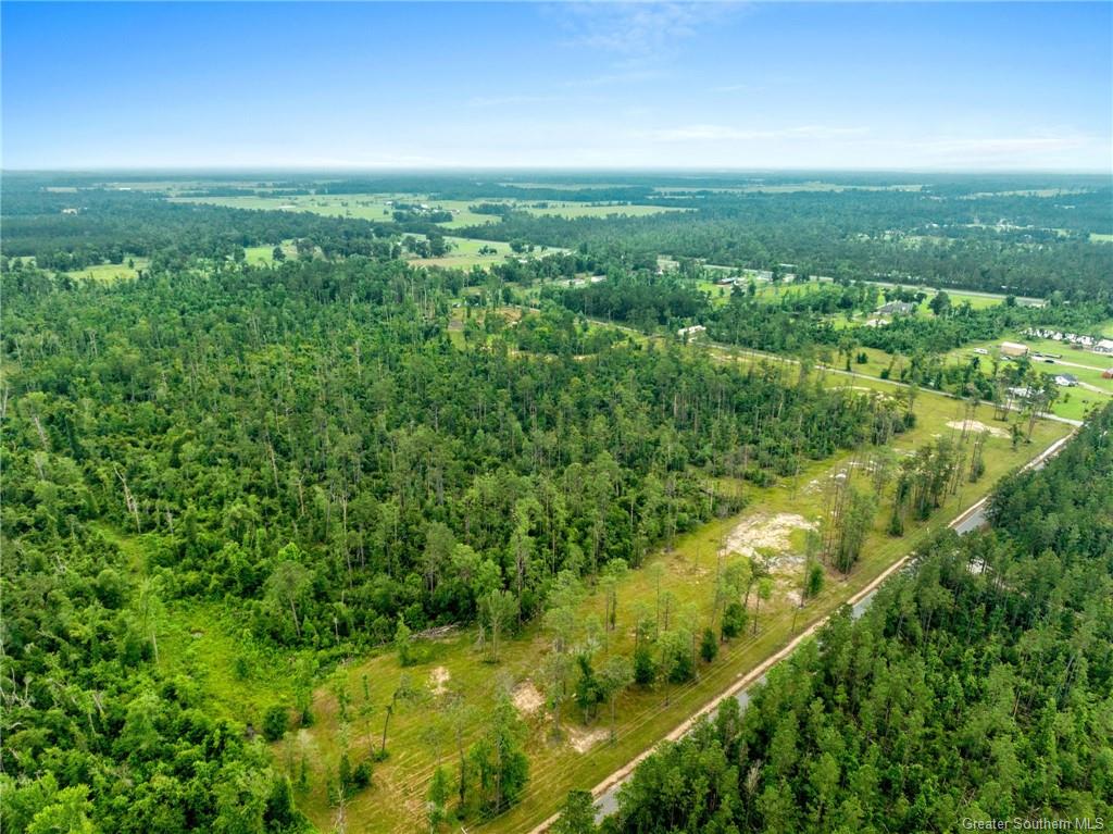 0 Duke Hollingsworth Road Ragley, LA 70657 - Photo 6 of 8