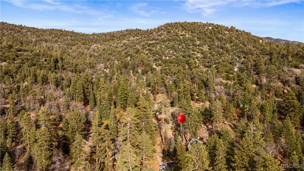 1289 Canyon Road Fawnskin, CA 92333 - Photo 22 of 23 a view of a big yard