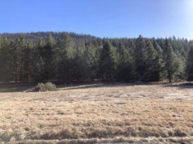 4911 Nixon Way Colville, WA 99114 - Photo 46 of 49