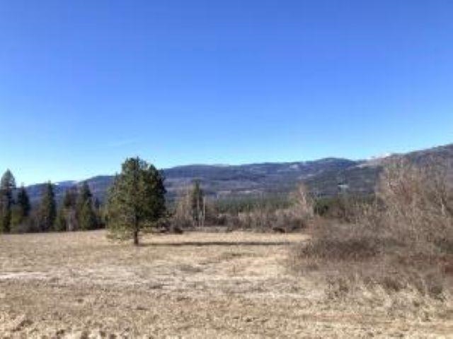 4911 Nixon Way Colville, WA 99114 - Photo 47 of 49